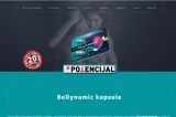 Izrada web sajta za Dynamic Kapsule